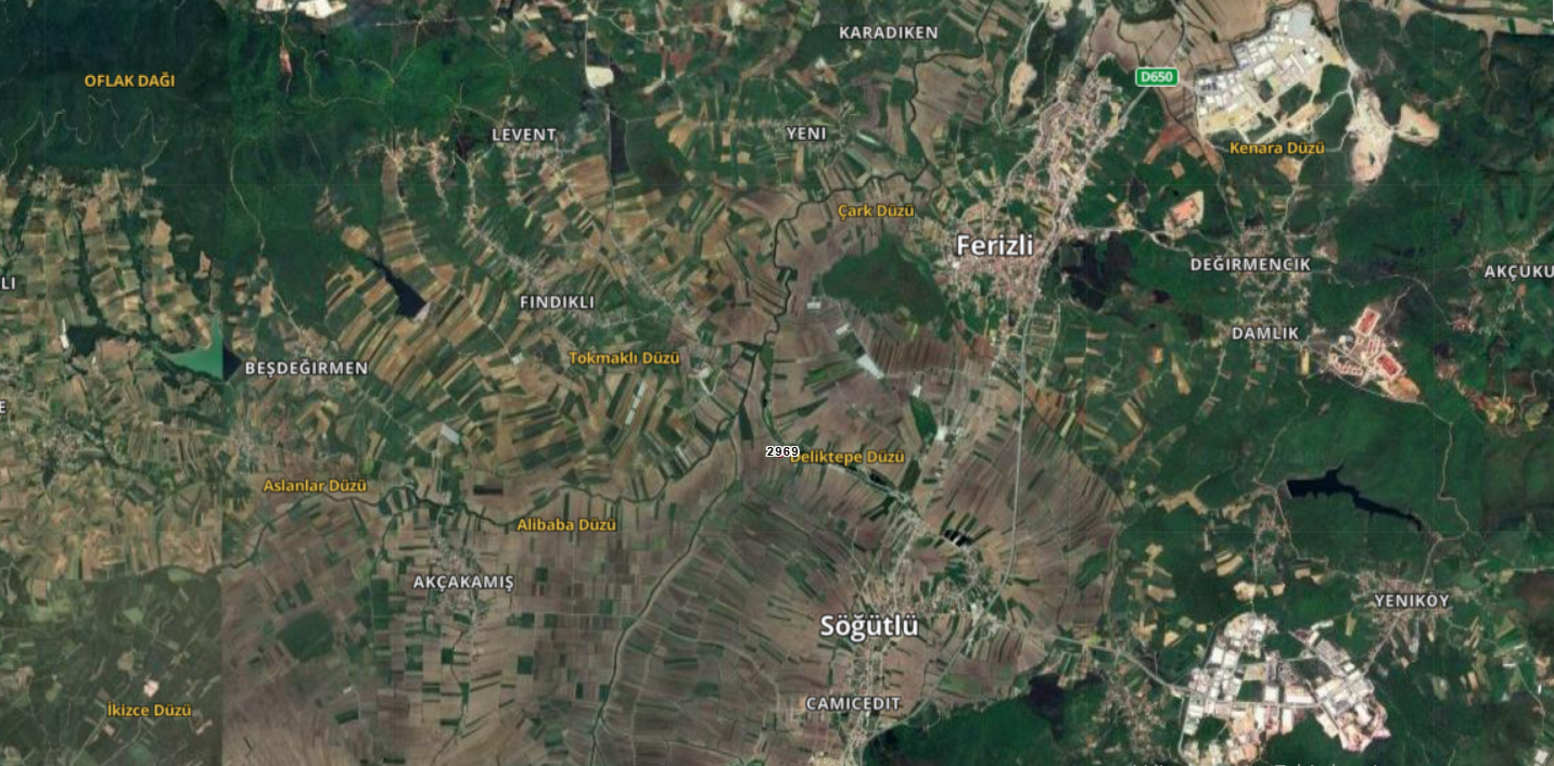Sakarya Söğütlü Söğütlü Mahallesinde Satılık Tarla Ada 0 Parsel 2969